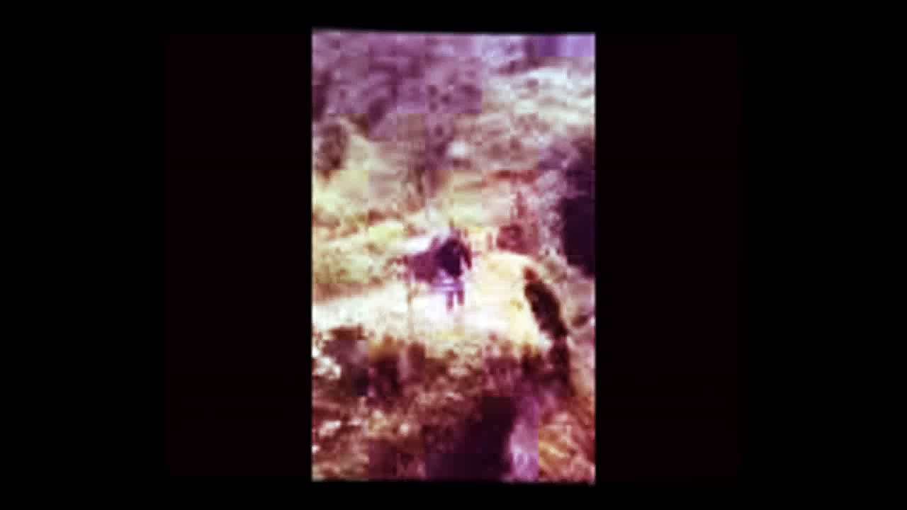 Englishman River Falls