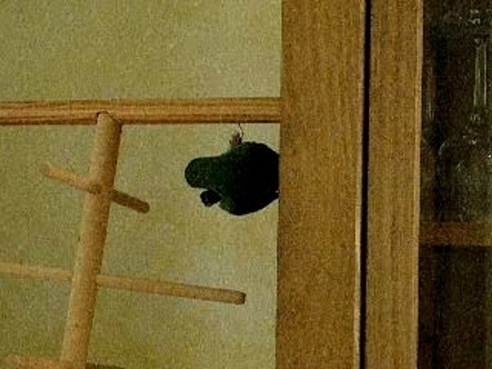 Acrobatie avec la clochette