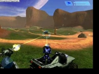 Halo bug