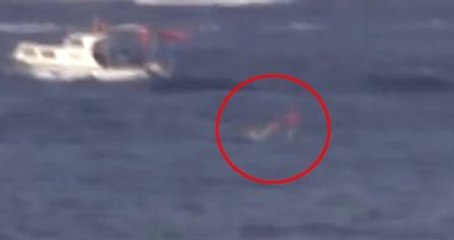 Bir Vatandaş Boğazı Yüzerek Yenikapı'ya Geldi