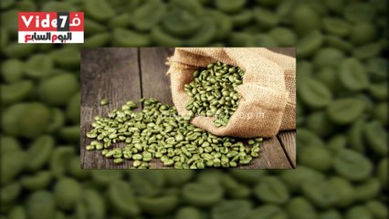 بالفيديو.. تعرف على فوائد البن الأخضر.. بائع: "كورس تخسيس بدون إرهاق"