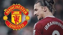 Zlatan Ibrahimovic - Welcome to Manchester United - Amazing Goals, Skills, Passes - 2016 HD