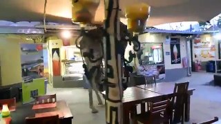 Une girafe dans un restaurant