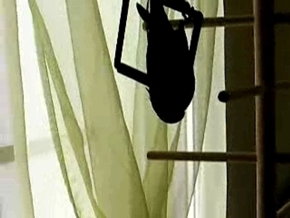 Acrobatie sur la balançoire