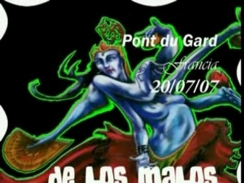 el bicho pont du gard