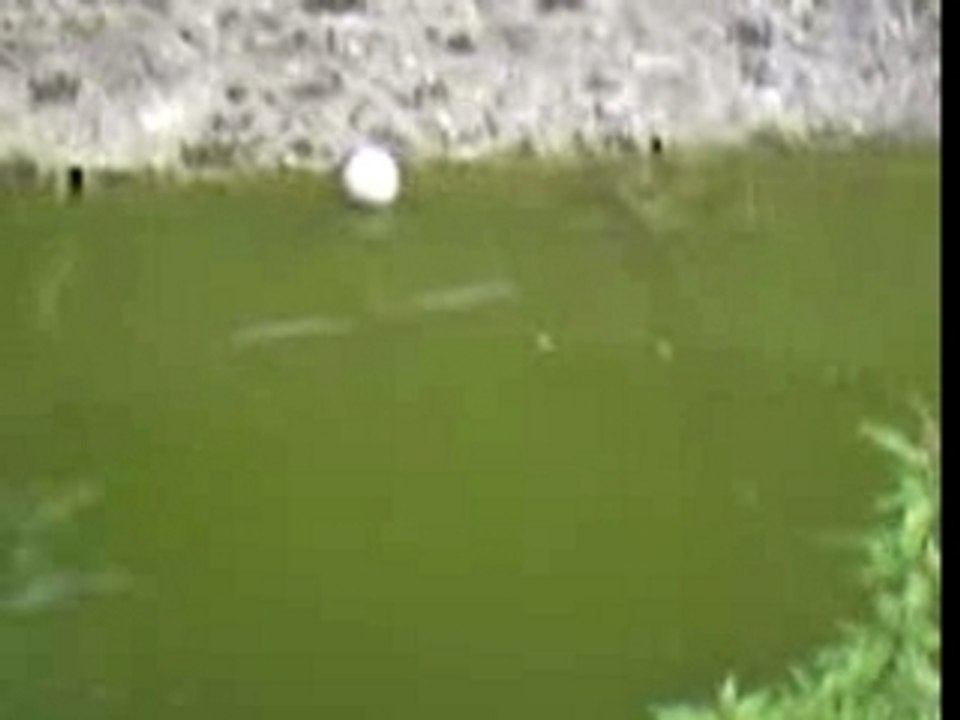 Vidéo0012