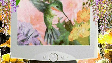 FLUO - SZÁLLJ VELEM