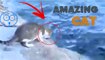 This Cat Catch A Fish .. easily (must watch)They were just recording this cat when they were all of a sudden amazed !!
