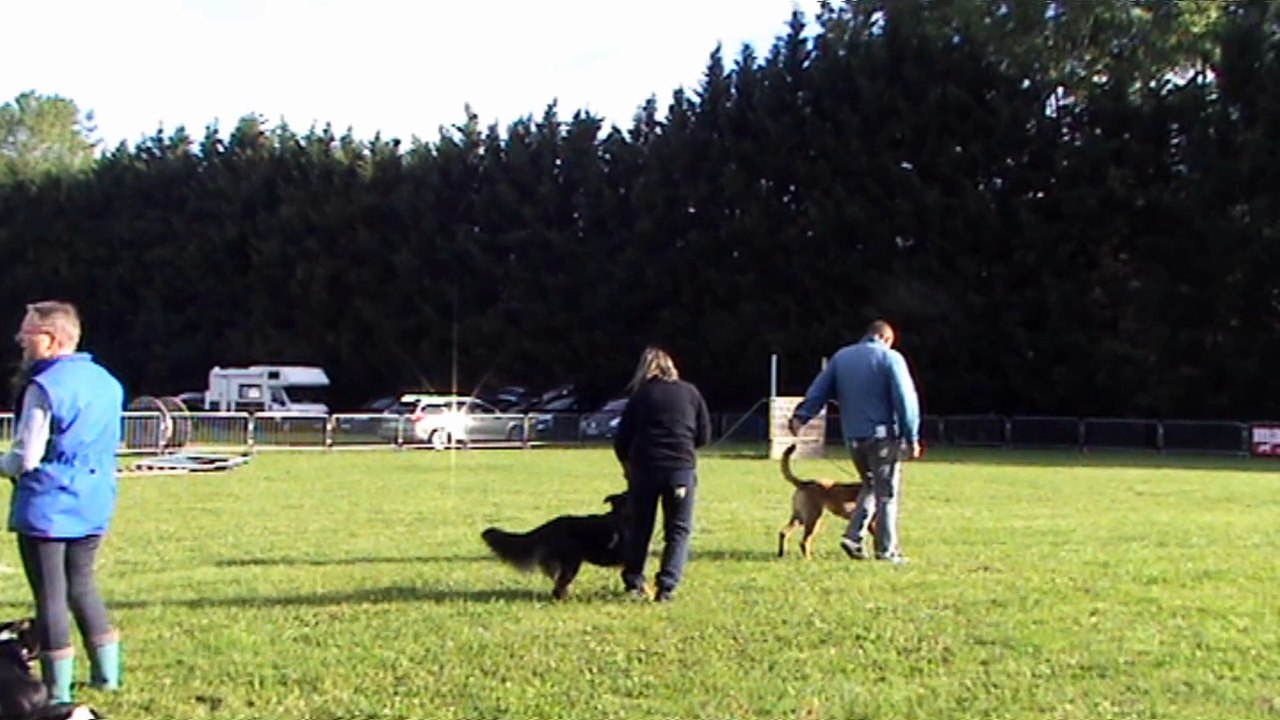 2016-06-11 CSAU Sociabilité