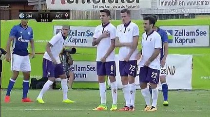 FC-Schalke 04 vs AC-Fiorentina 3-1 All Goals & Highlights HD 07.08.2016