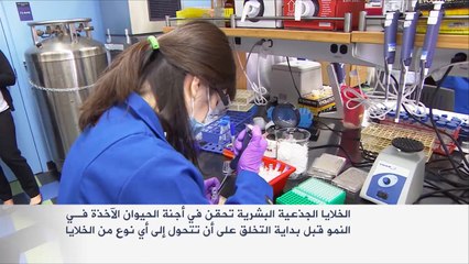 خلط الخلايا البشرية بالحيوانية يثير جدلا بأميركا