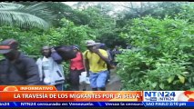 Peligrosa travesía: cientos de cubanos varados en Colombia emprenderán viaje por la selva del Darién