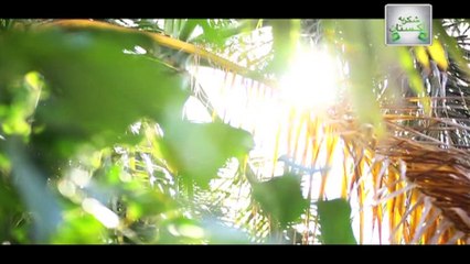 Inteqaam Last Episode on Ary Zindagi in High Quality 7th August 2016