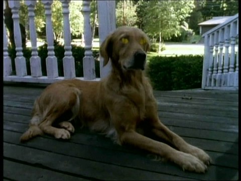 Chair de Poule - Le Pantin Malefique Partie 2 ( FIN DE LA SAISON 2 )