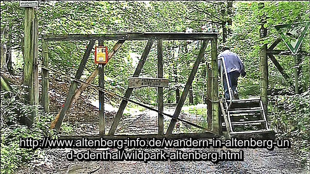 Zu Besuch im Wildgehege Altenberg-Odenthal
