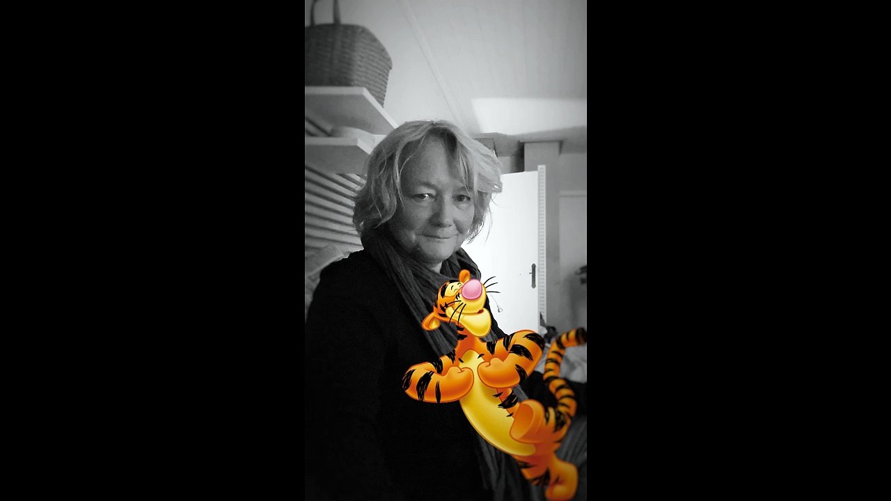 Un tigre en été