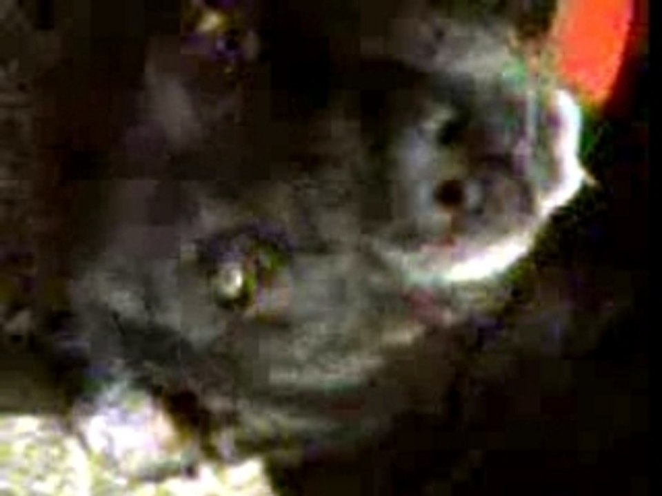 Rusky