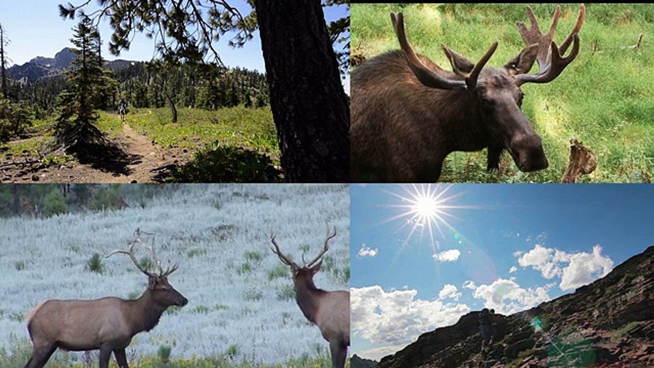 Bitterroot River Front Real Estate Montana