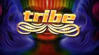 Tribe - Ace Ventura 26/04/2008