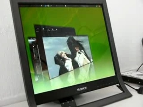 Compiz fusion 03 shift switcher