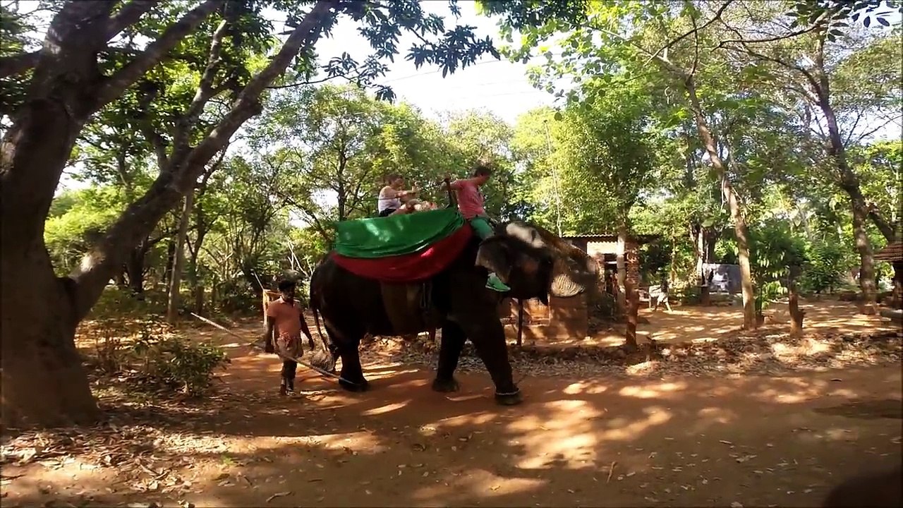 Stephan & Kirsten in Sri Lanka