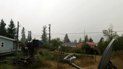 Summer Strom