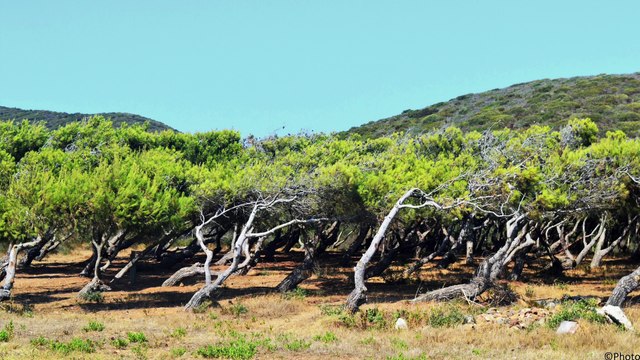 Divers Photos Corse & nature (part 1)