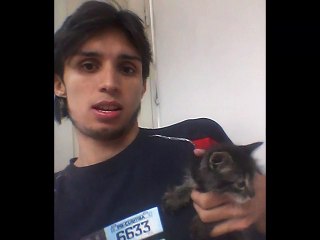 The Cats of  Jose Rafael Cordero Sanchez
