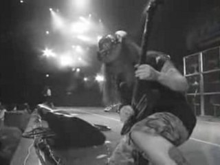 Dimebag Darrell - Solo compil