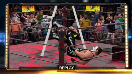 WWE 2K16 4way TLC highlights
