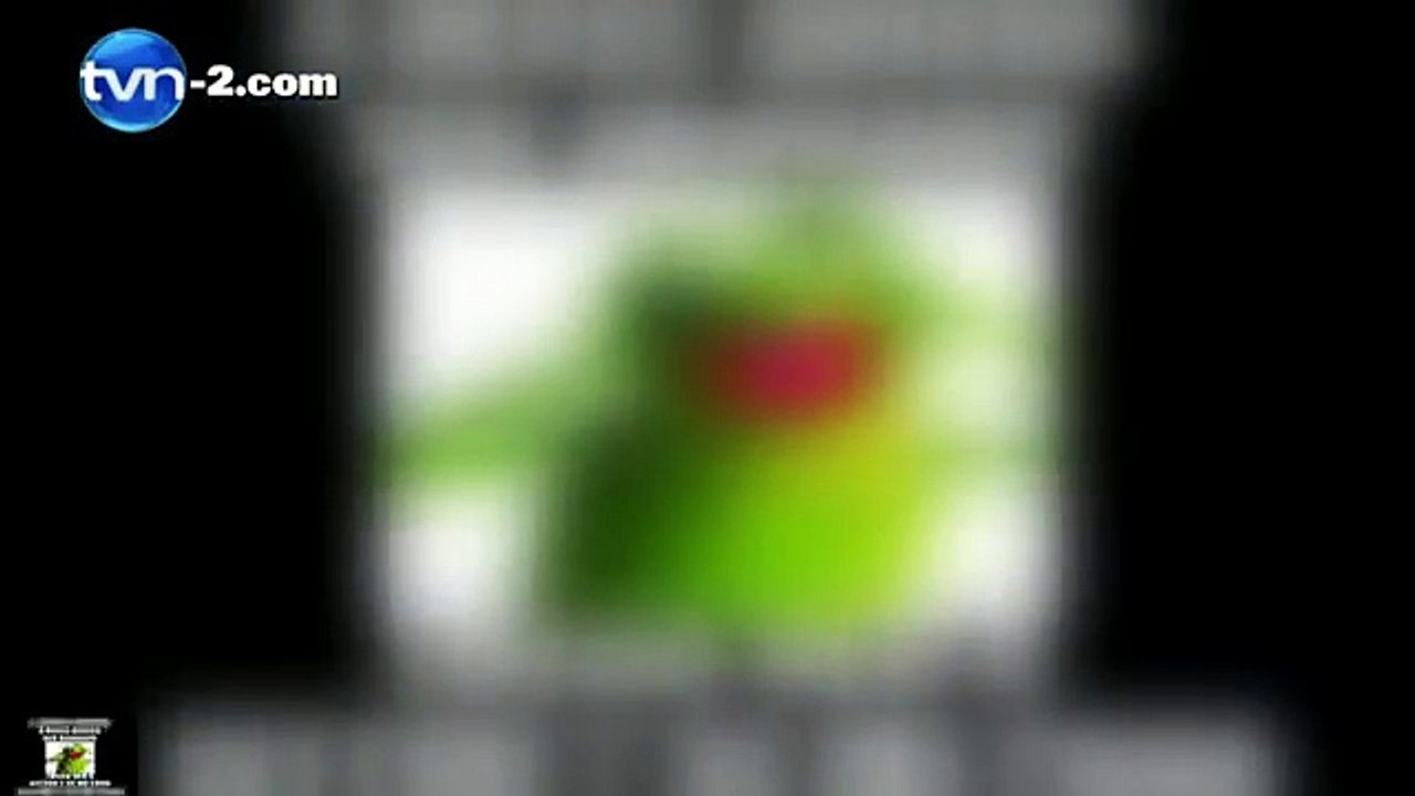 ​Los "memes" más populares de la semana (24-enero-2015)