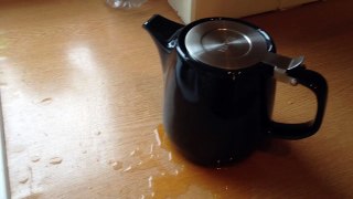 Our newly delivered Tealyra Daze Teapot
