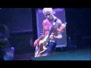 RHCP - It's A Long Way Back (Ramones Cover)