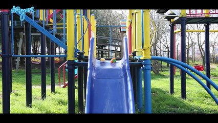 Pepeeli Ton Ton Arabalar Oyun Parkında - Düşyeri