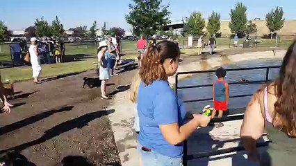 Nampa dog park pond grand opening.