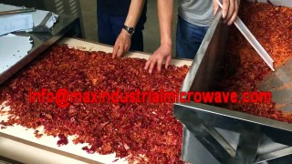 2 Chilli Flake  Microwave Sterilization Machine