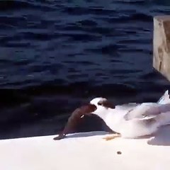 فیس بک کی دنیا