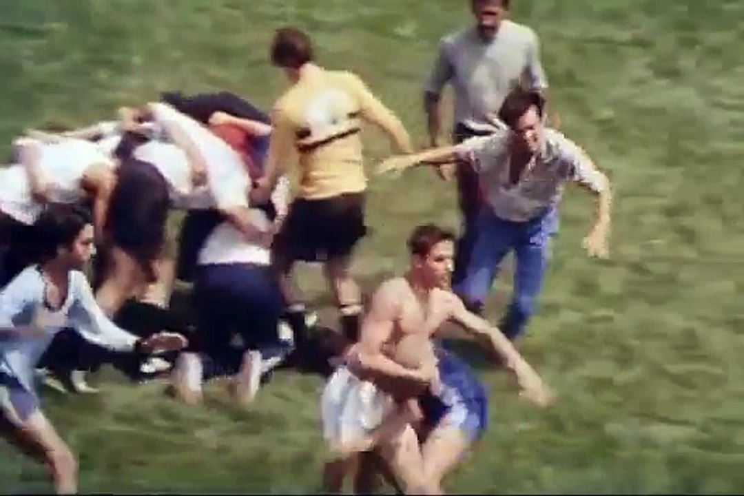 Les roseaux sauvages