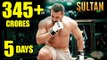 SULTAN 345 Crores In 5 Days At Box Office Worldwide - Salman Khan Breaks All Records