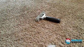 Carpet & Upholstery Cleaning Kansas City
