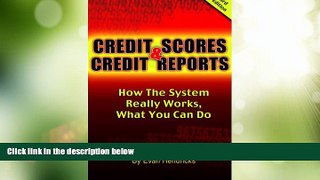 Big Deals  Credit Scores and Credit Reports 3rd ed: How The System Really Works, What You Can Do