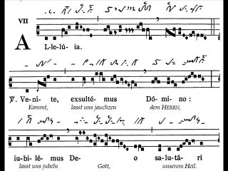 Alleluia Venite exsultemus, Dominica XX TpA (20è TO)