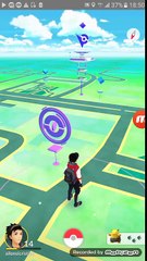 Pokemon Go Romania_ POKEMON EGGS HATCH, GIVE ME A DARTINI !