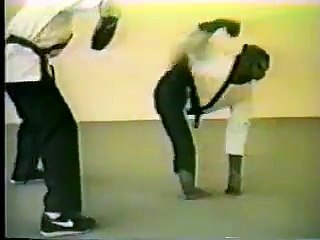 Un singe qui fait du Kung Fu