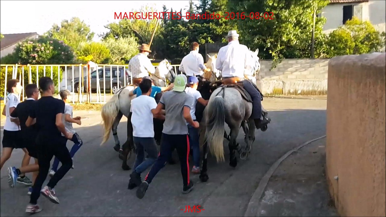 MARGUERITTES-Bandido-2016-08-02