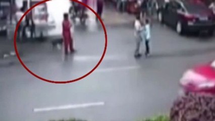 Başıboş Köpek Dehşet Saçtı