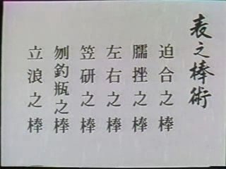 Katori shinto ryu risuke otake-2