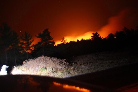 Kazdağları'nda orman yangını