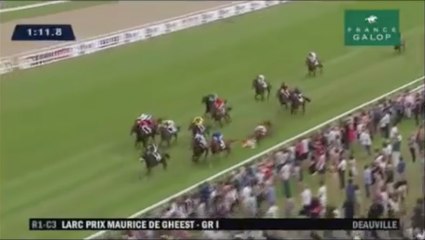 Un cheval meurt en pleine course sur l'hippodrome de Deauville