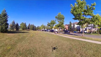 Attempted Dognapping